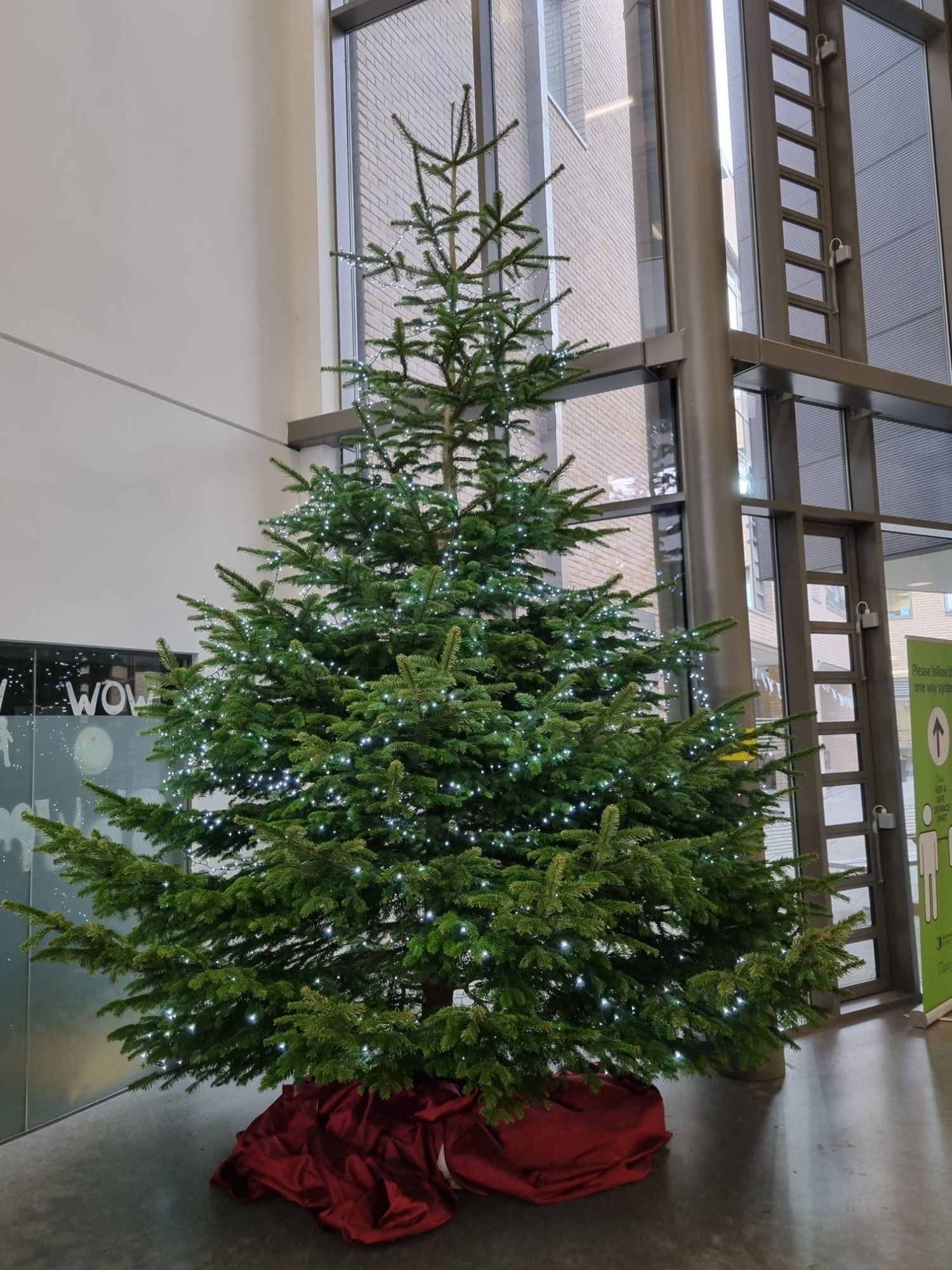 Image of school Christmas tree